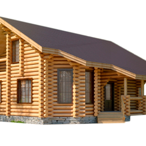 House PNG