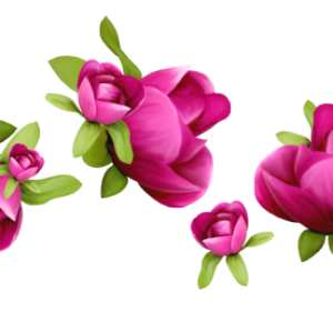 Lilac PNG