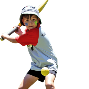 Cricket PNG
