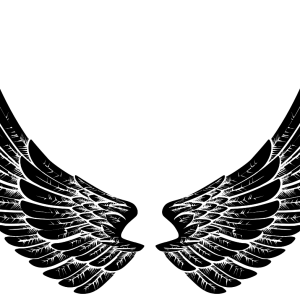 Wings PNG