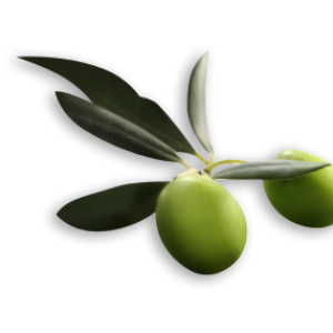 Olive PNG