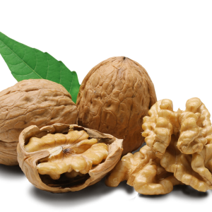 Walnut PNG