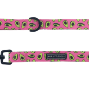Leash PNG