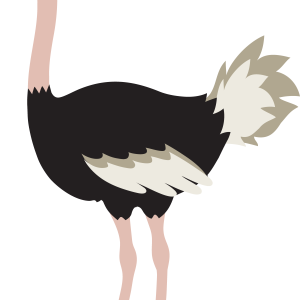 Ostrich PNG