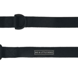 Leash PNG