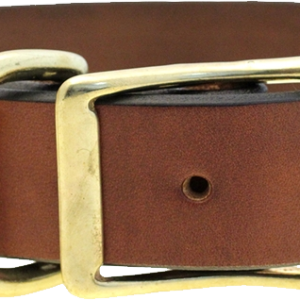 Dog collar PNG