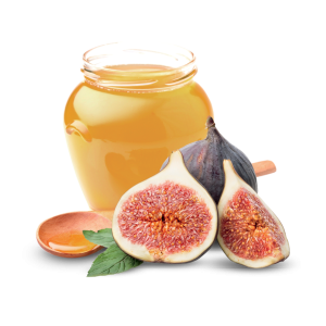 Honey PNG