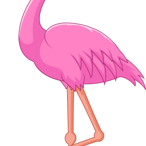Flamingo PNG