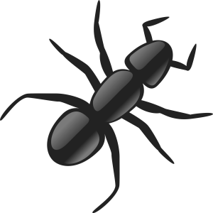 ant PNG