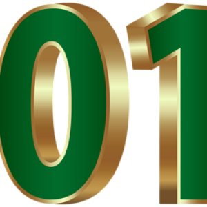 2019 year PNG