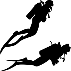 Diver PNG