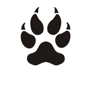 Paw PNG