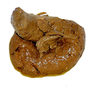 Poop PNG