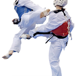 Taekwondo PNG