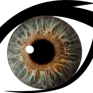 Eye PNG