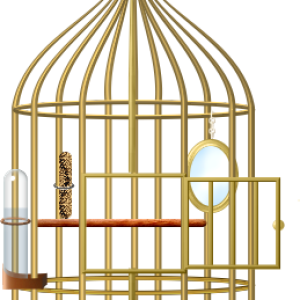 Cage bird PNG