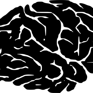 Brain PNG