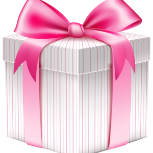 Gift box PNG
