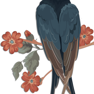 Swallow PNG