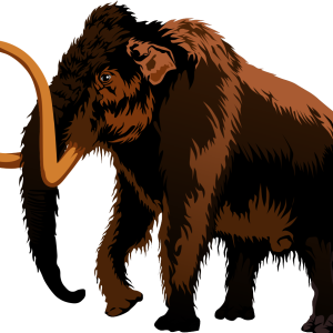 Mammoth PNG