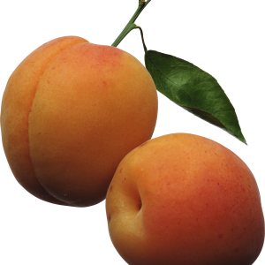 Peach PNG image
