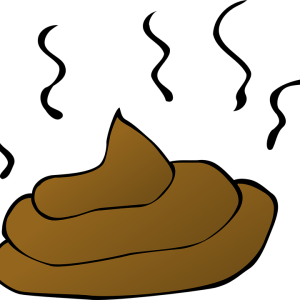 Poop PNG