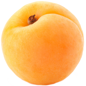 big yellow apricot PNG image