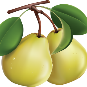 Pear PNG image