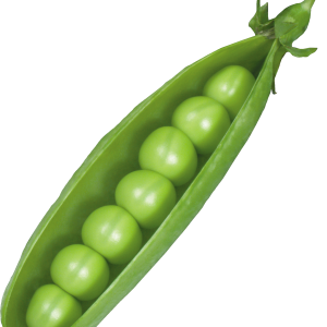 Pea PNG