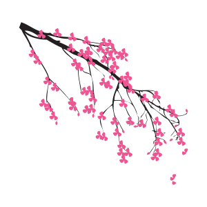 Sakura PNG