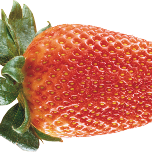 Strawberry PNG images
