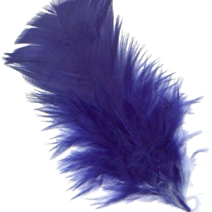 Feather PNG