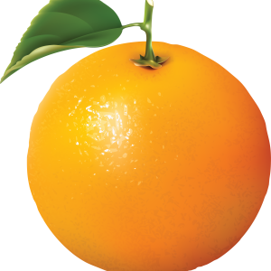 Ripe orange PNG