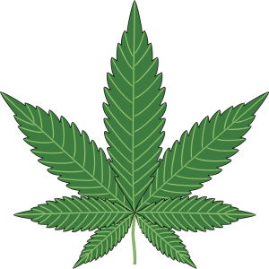 Cannabis PNG