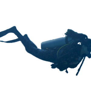 Diver PNG
