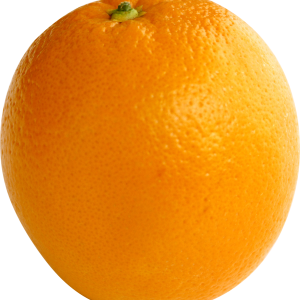 big ripe orange PNG image