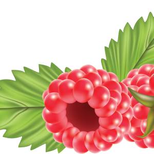 Rraspberry PNG image