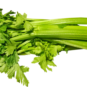 Celery PNG