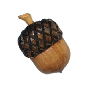 Acorn PNG image
