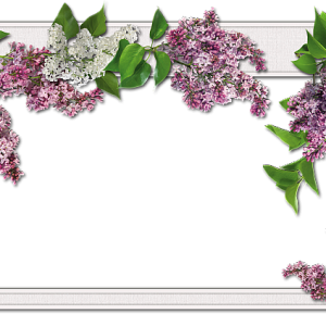 Picture, photo frame PNG