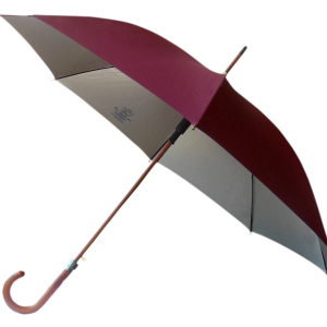 Umbrella PNG