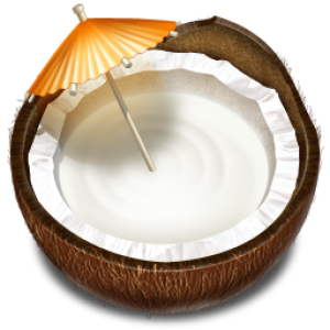 Coconut PNG image