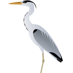 Heron PNG
