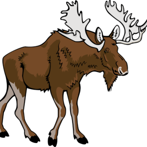 Moose, elk PNG