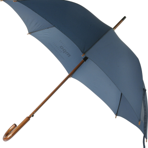 Umbrella PNG image