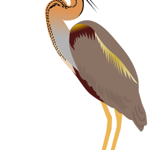 Heron PNG