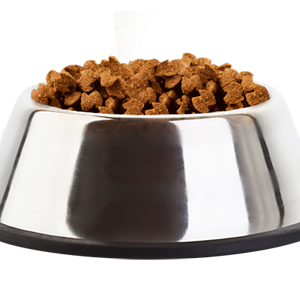 Dog food PNG