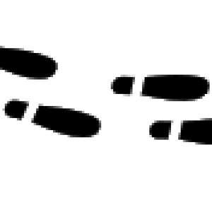 Footprints PNG