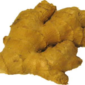 Ginger PNG