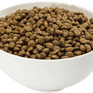 Dog food PNG
